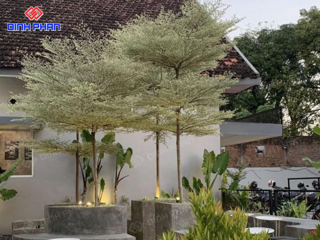 trang tri quan cafe bmt 10